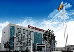 东旭光电000413 发展历程 主营结构 财务状况 分析