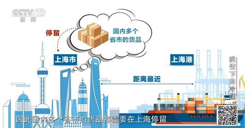 张文宏 冷链传播风险低，上海数据显示进口货品感染案例为零